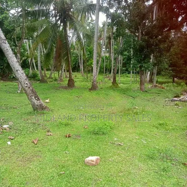 විගඩ බෙම්මුල්ලෙන් ඉඩමක්