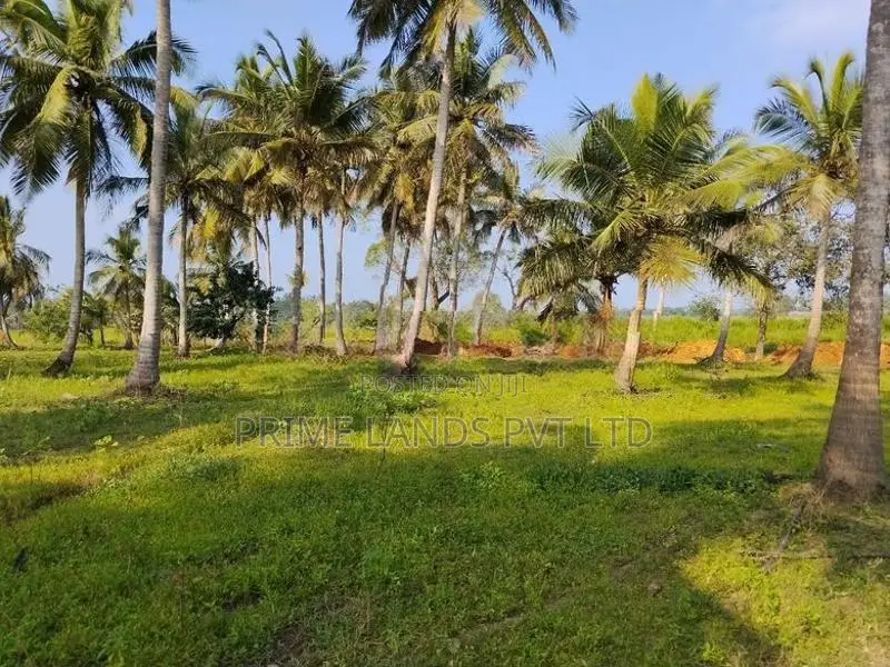 Land for Sale in Anuradhapura Nachchaduwa