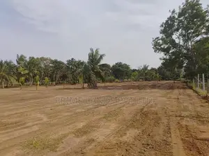 Land for Sale in Anuradhapura Nachchaduwa