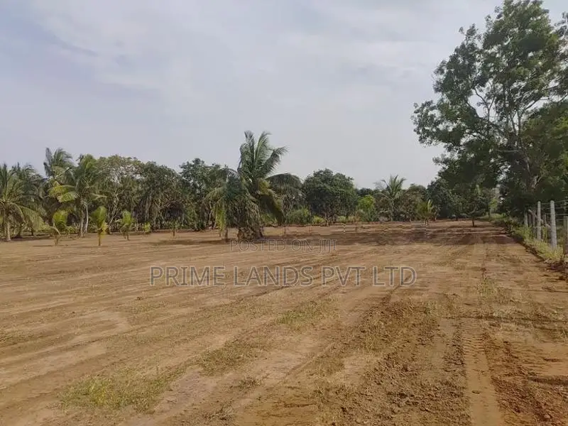 Land for Sale in Anuradhapura Nachchaduwa