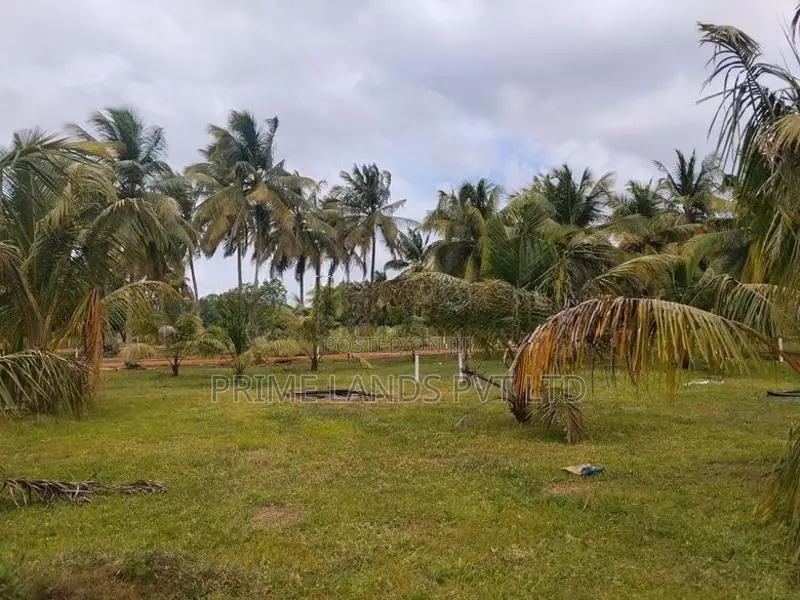 Land for Sale in Anuradhapura Nachchaduwa