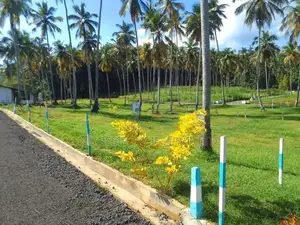 Polgahawela Valuable Land Plots. S