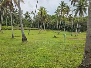 Polgahawela Valuable Land Plots. S