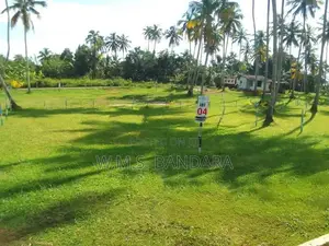 Polgahawela Valuable Land Plots