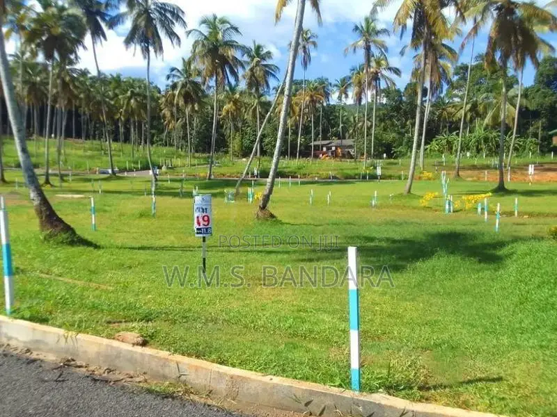 Polgahawela Valuable Land Plots