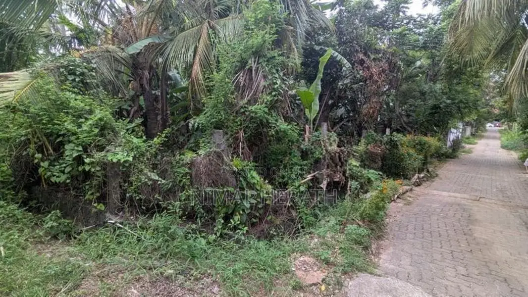 Land for sale in Kurunegala Yanthampalawa