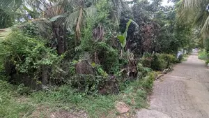 Land for sale in Kurunegala Yanthampalawa
