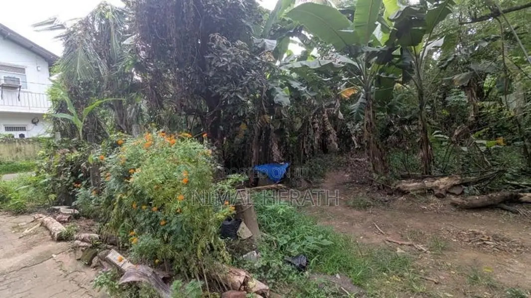 Land for sale in Kurunegala Yanthampalawa