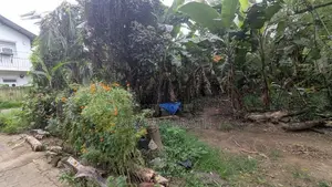 Land for sale in Kurunegala Yanthampalawa