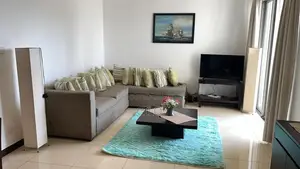 ON320 Residence 2 Bedrooms Furnished Rent - Colombo