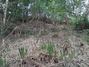අම්පිටිය ග්‍රීන් විව් වල ඉඩමක් විකිණීමට