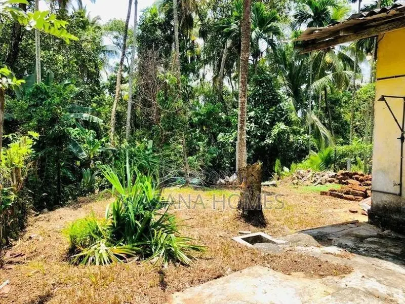 Valuable Single Story House for Sale Homagama