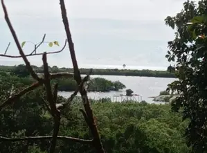 Land for Sale Panama