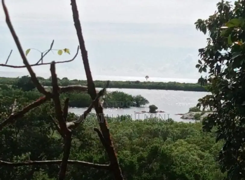 Land for Sale Panama