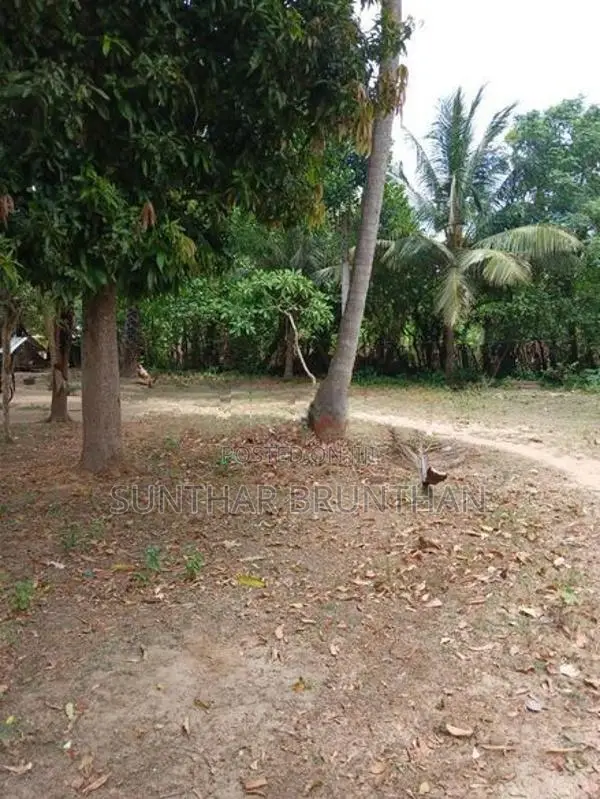 காணி விற்பனைக்கு உடுவில்