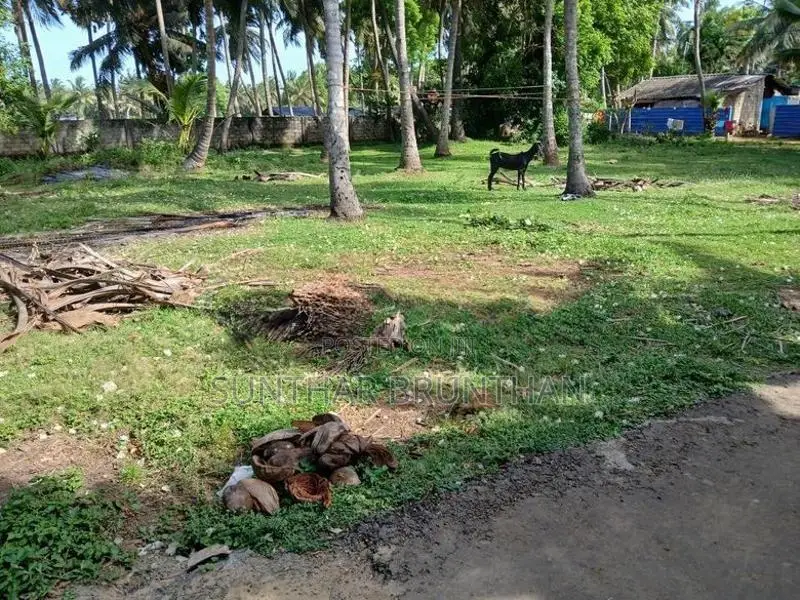 காணி விற்பனைக்கு உடுவில்