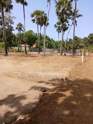 Land for Sale - Jaffna