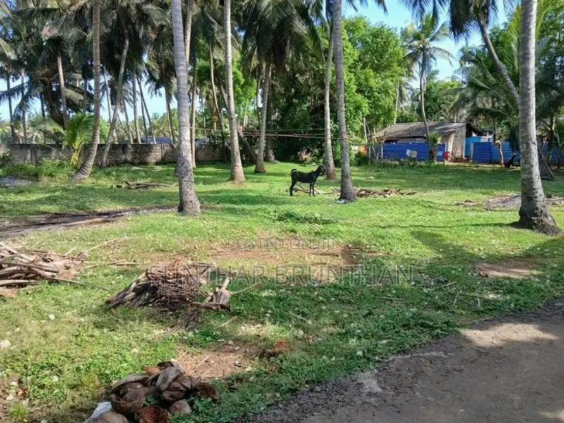 காணி விற்பனைக்கு உடுவில்