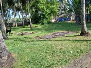 காணி விற்பனைக்கு உடுவில்