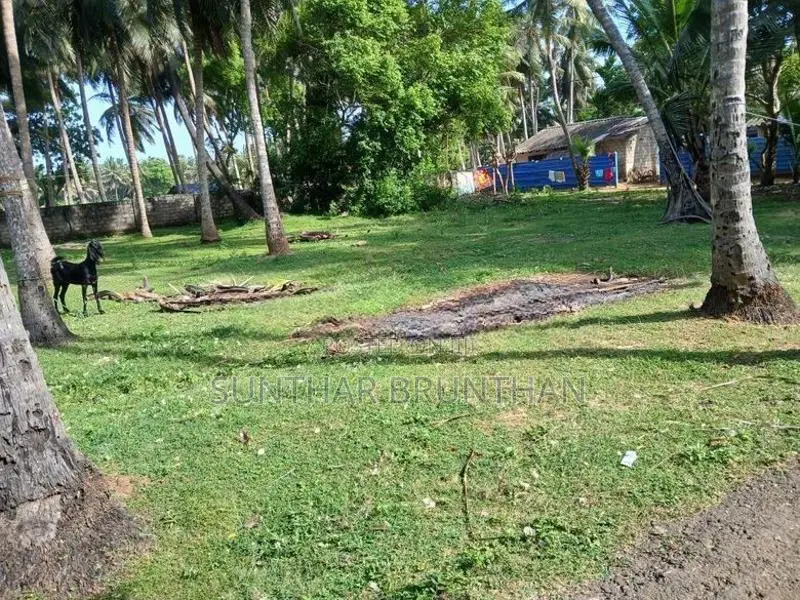 காணி விற்பனைக்கு உடுவில்