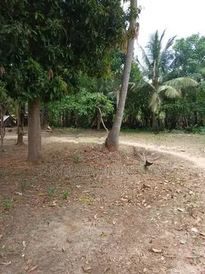 காணி விற்பனை சங்கானை