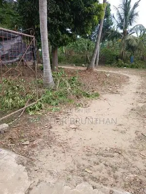 காணி விற்பனை சங்கானை