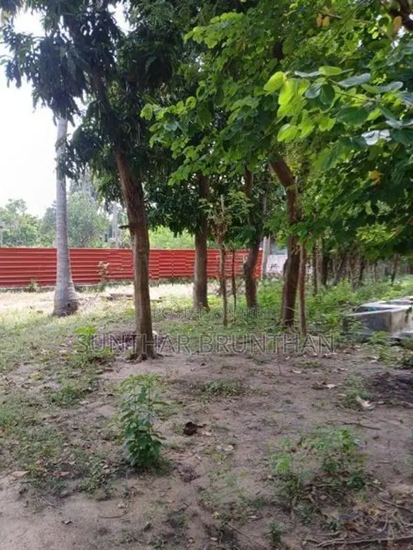 காணி விற்பனை சங்கானை
