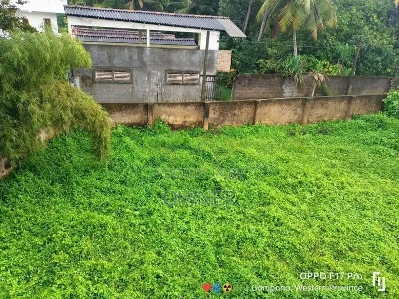 වටිනා ඉඩමක් විකිණීමට Jaela