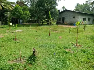 වටිනා ඉඩමක් විකිණීමට Jaela