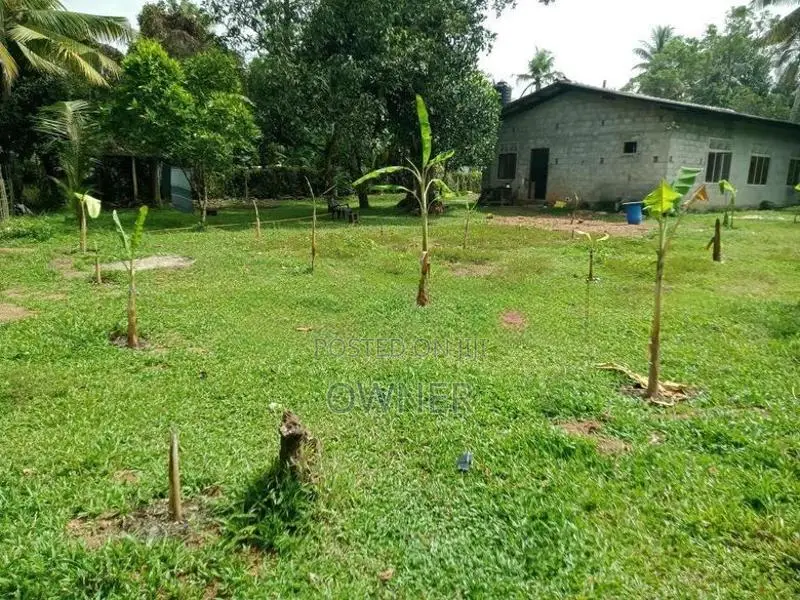 වටිනා ඉඩමක් විකිණීමට Jaela