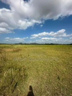 Valuable Land for Sale in Anuradhapura