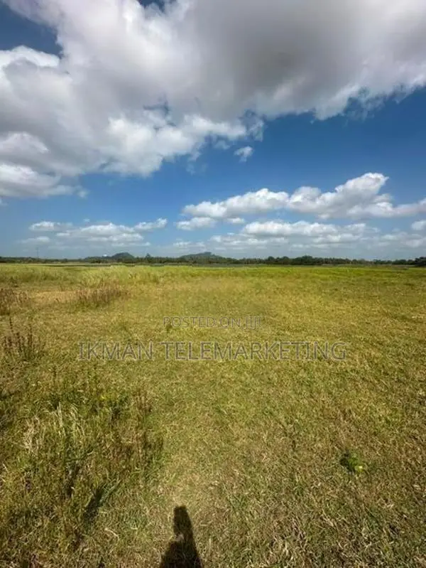 Valuable Land for Sale in Anuradhapura