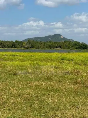 Valuable Land for Sale in Anuradhapura