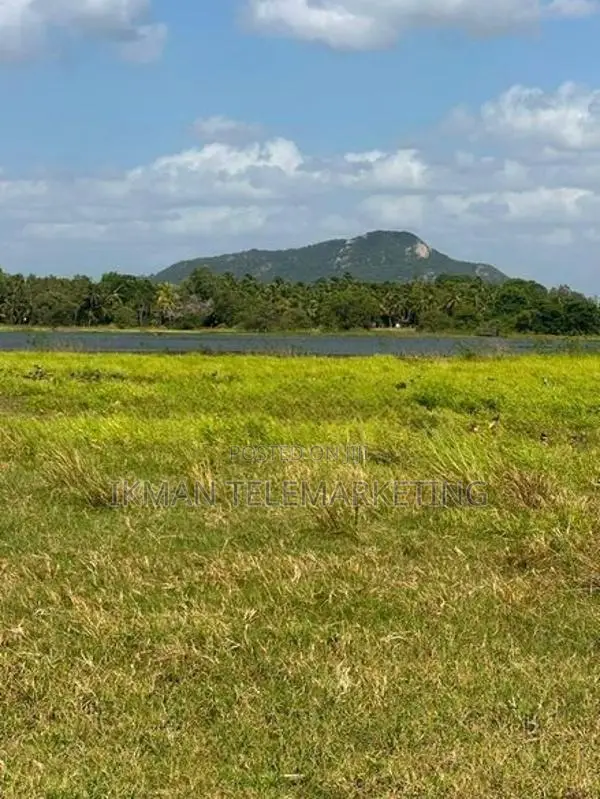 Valuable Land for Sale in Anuradhapura
