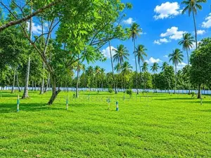 Land Property in Mellawagedara for Sale P1