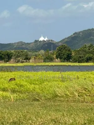 Valuable Land for Sale in Anuradhapura