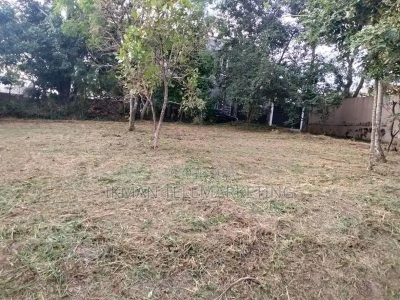 Valuable 20 Perches Residential Land for Sale in Makandana, Kesbewa