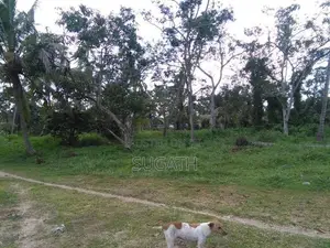 Bare Land for Sale in Ja-Ela