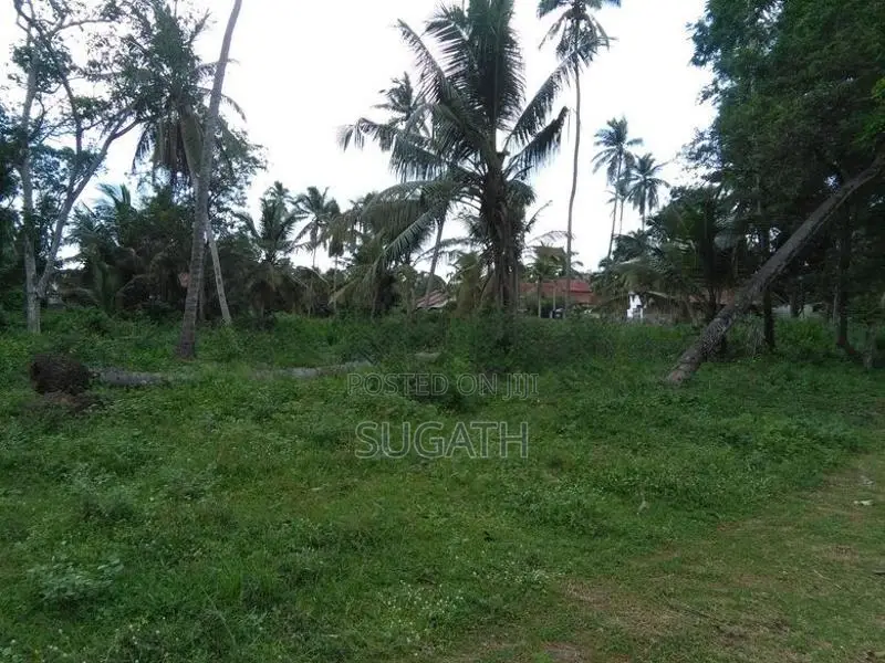 Bare Land for Sale in Ja-Ela