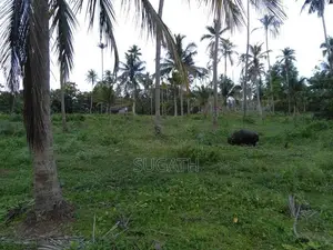Bare Land for Sale in Ja-Ela