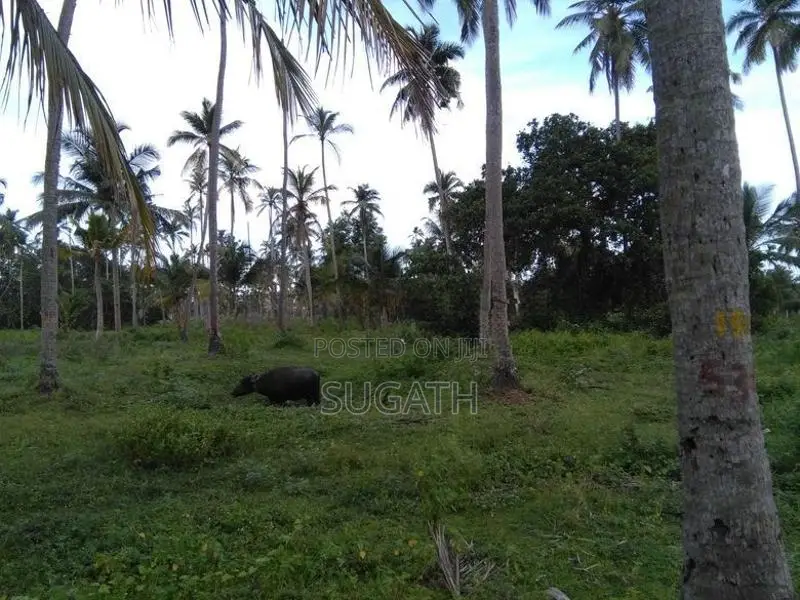 Bare Land for Sale in Ja-Ela