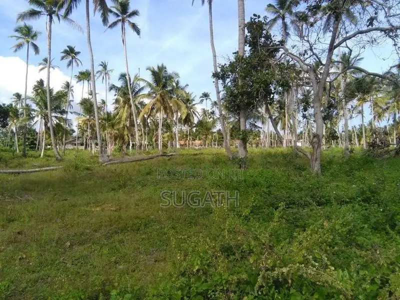 Bare Land for Sale in Ja-Ela