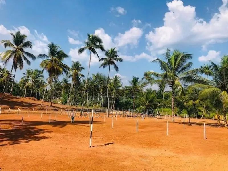 Attanagalla Valuable Land Plots. S.