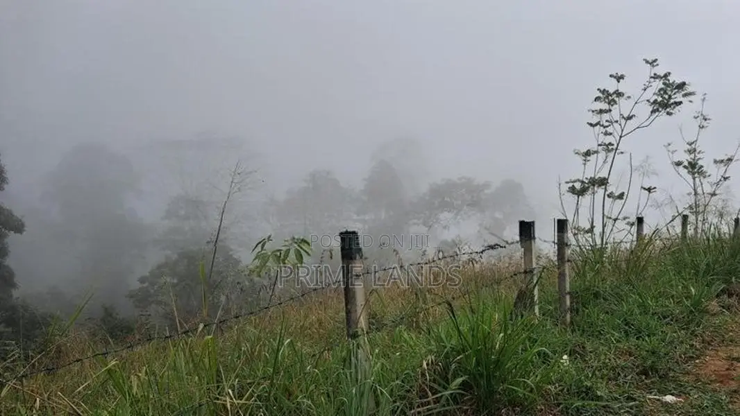 Land for Sale in Pussellawa