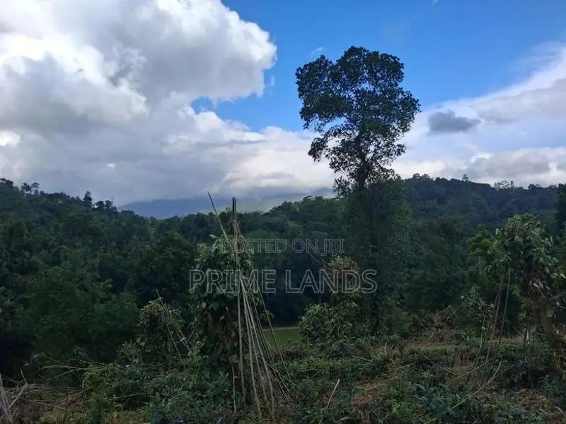 Residential Land for Sale in Kandy Pilimatalawa