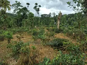 Residential Land for Sale in Kandy Pilimatalawa