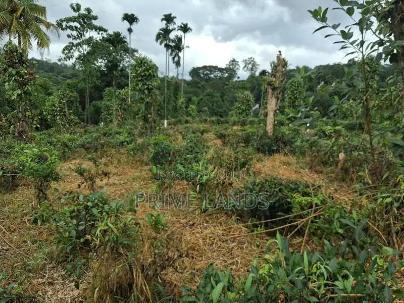 Residential Land for Sale in Kandy Pilimatalawa