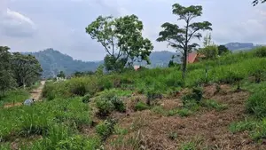 Land for Sale in Pussellawa