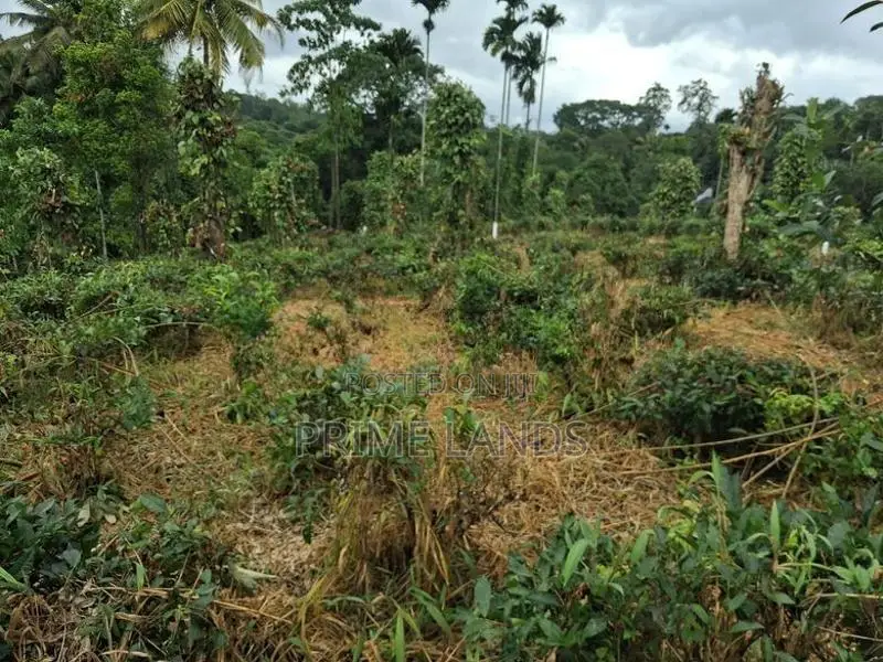 Residential Land for Sale in Kandy Pilimatalawa
