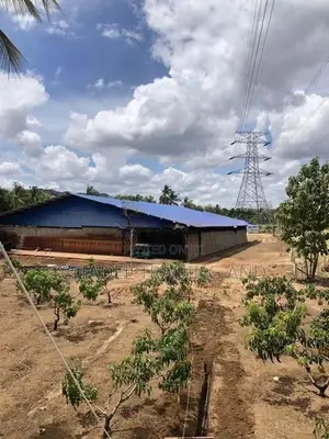 Agricultural Land With Warehouse For Sale In Melsiripiua - CL742